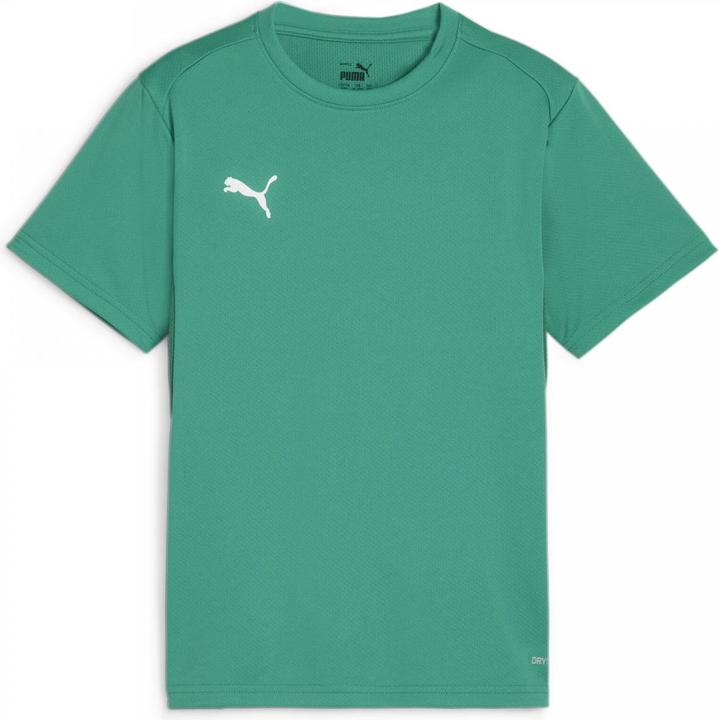 Immagine prodotto Puma Maglia TeamGOAL Jr (116)