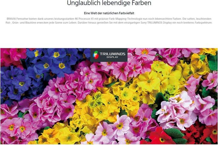 Produktbild Sony Kd-65x9305c (65", LCD, 4K)