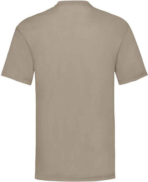 Actual product image Fruit of the Loom Mens Valueweight T-Shirt (L)