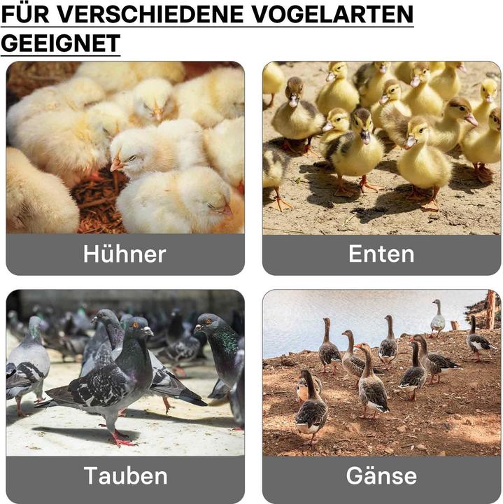 Produktbild Fudajo 35x35cm Küken-Wärmeplatte Temperaturregler 25W Heizplatte Kükenaufzucht (50 W)
