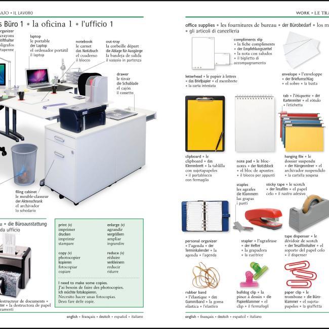 Immagine prodotto 5 Language Visual Dictionary (Inglese, DK, 2020)