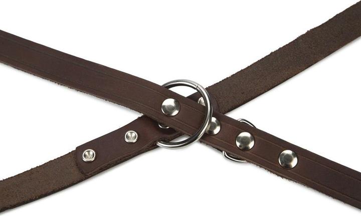 Image du produit Beeztees BZ LED LIGNE DE CONDUITE MARRON 240X18 (Chien, Sport canin)