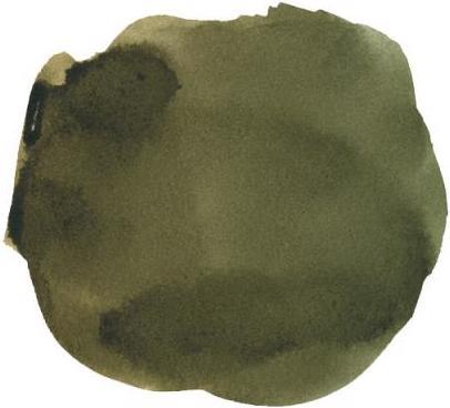 Actual product image Super Ink cartridge Ink Waterproof Dublin green 6 (Inkwell)