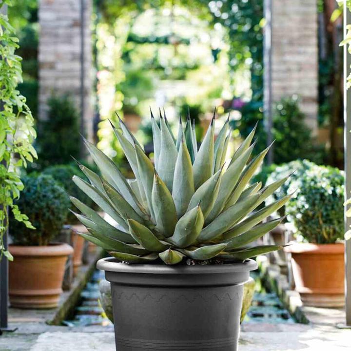 Actual product image Euro3plast Planter (55 cm)