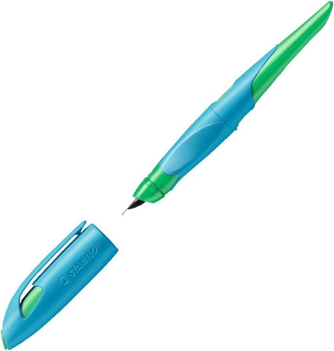 Actual product image STABILO Easy (Multicolor, 1 x)