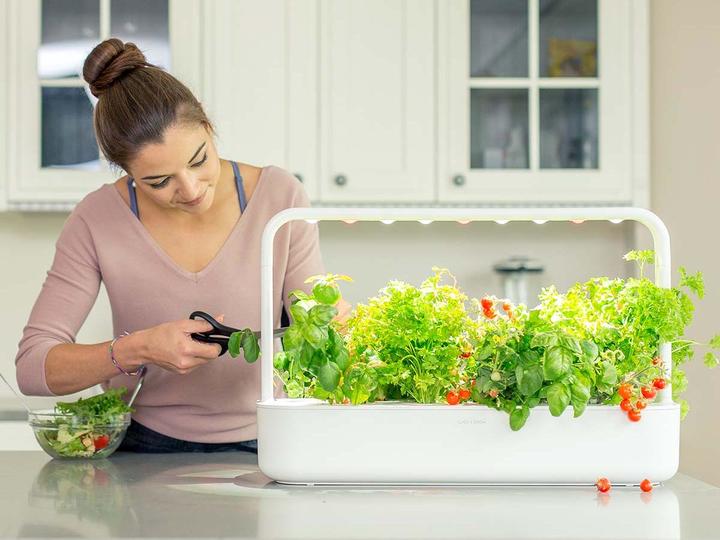 Actual product image Click and Grow Smart Garden 9 (62.50 cm)