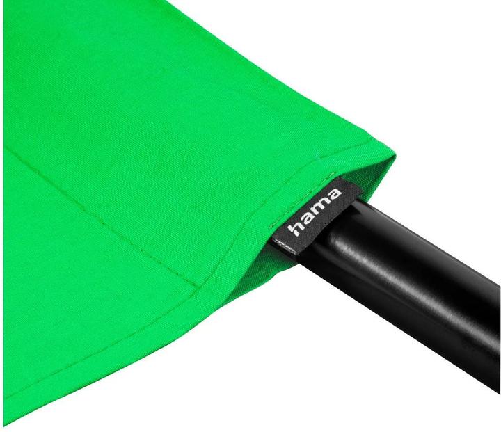Image du produit Hama Fond vert (295 cm, 600 cm)