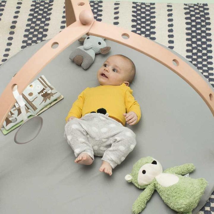 Image du produit Franck Fischer Bébé araignée