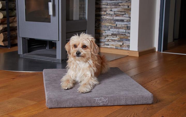 Immagine prodotto Trend Pet Cuccia per cani VitaMedog, L (Cane)