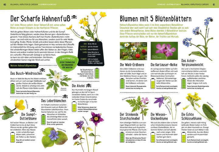 Image du produit Kosmos Mein Kosmos-Buch Natur (Allemand, Bärbel Oftring, 2023)