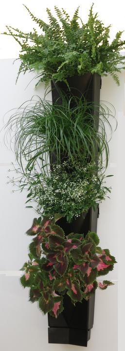 Actual product image VCM Wall garden
