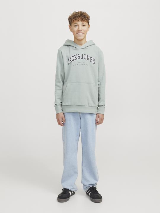 Produktbild Jack & Jones Jjecaleb Varsity Sweat Hood Noos Jnr (128)