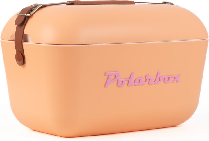 Polarbox Vintage Cooler Bag 01.20CL-OR 20L (20 l)