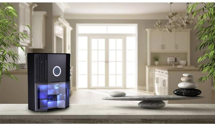 Actual product image Pingi Vida 1S (30 m², 0.25 l/24h)