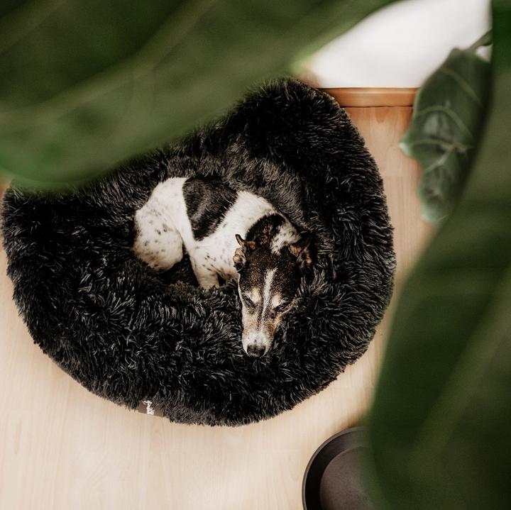 Image du produit District 70 Lit pour chien District70 duvet Donut (Chien, Chat)