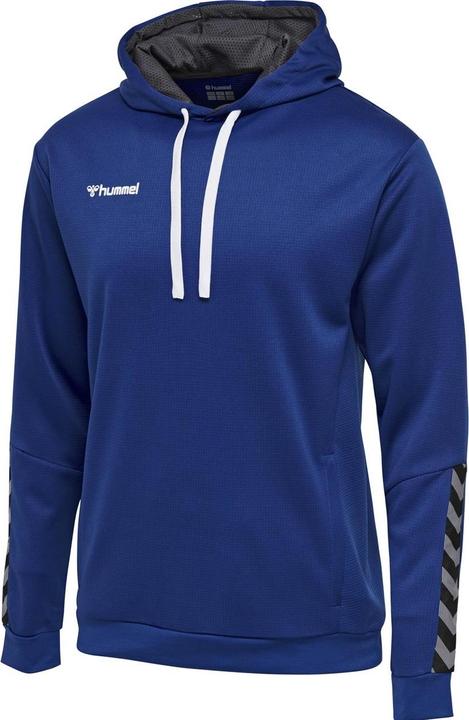 Actual product image hummel Authentic Kids Poly Hoodie (116)
