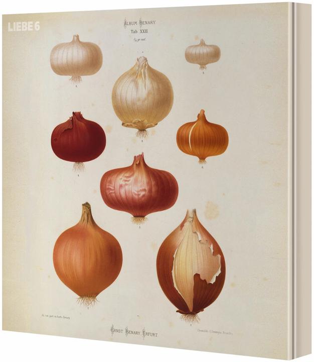 Actual product image Liebe 6 (German, Hagen Rether, 2016)