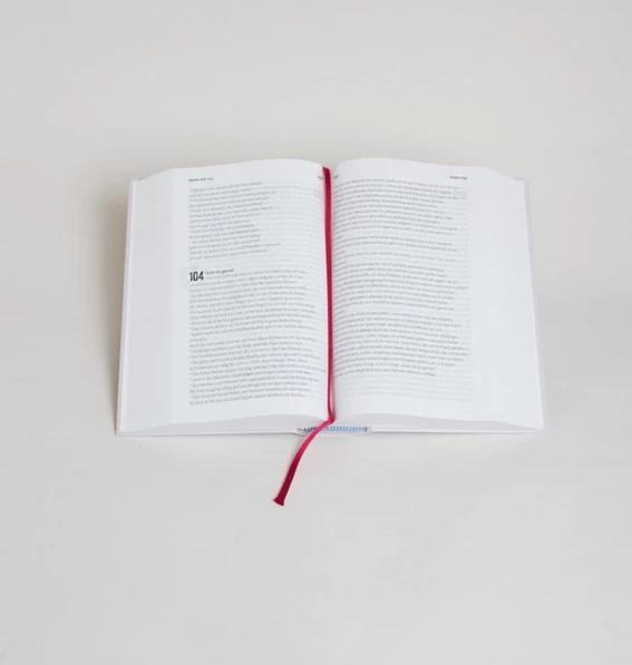 Actual product image Volxbibel - next level (German, Martin Dreyer, 2023)