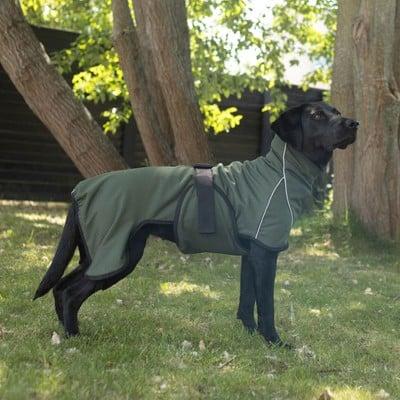Actual product image Siccaro RainForce 50 - (S2079) (Dog raincoat)