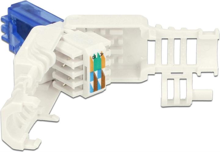 Immagine prodotto Delock Spina RJ45, UTP, Cat.6A, 2 pezzi (Connettore del cavo di rete)