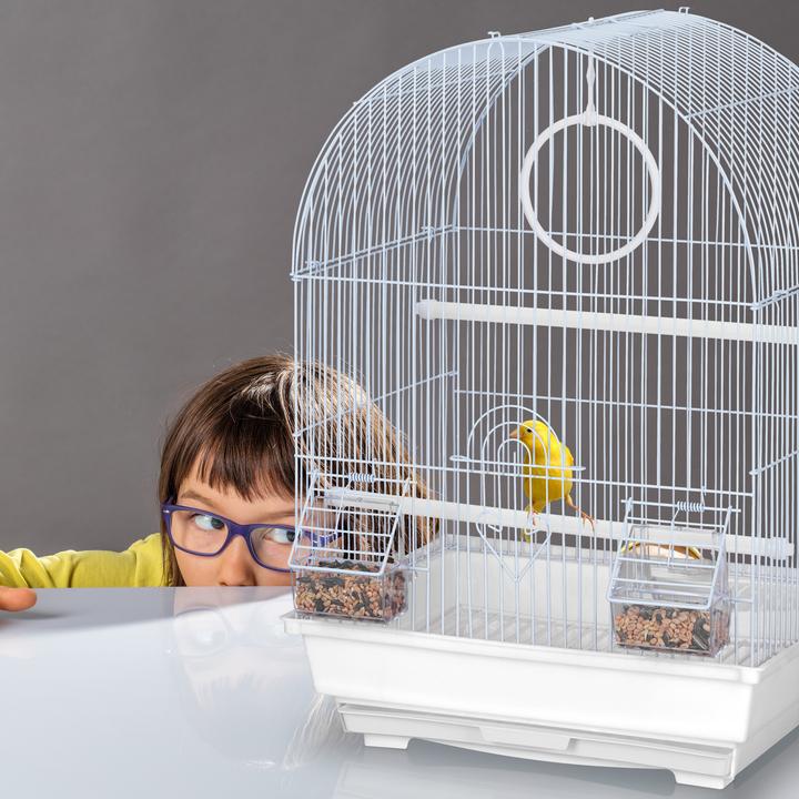 Actual product image Relaxdays Bird cage