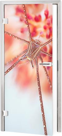 Produktbild Trenddeko Unterwasser-Exotik (91 x 200 cm)