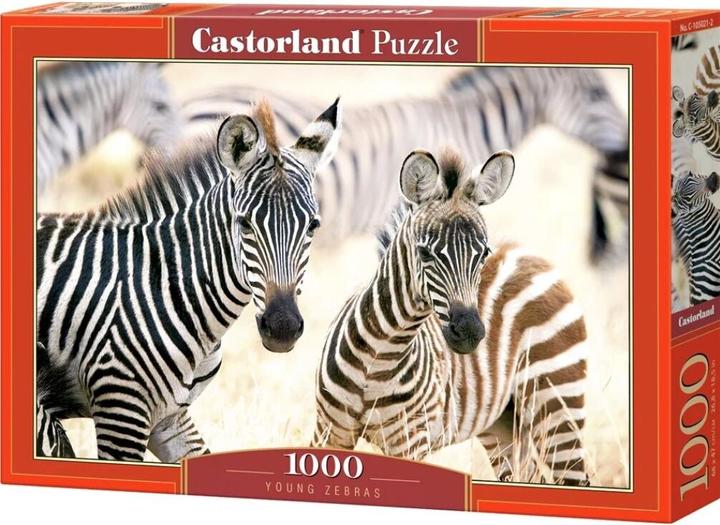 Actual product image Castorland Puzzle 1000 elements rice fields in Vietnam (1000 pieces)