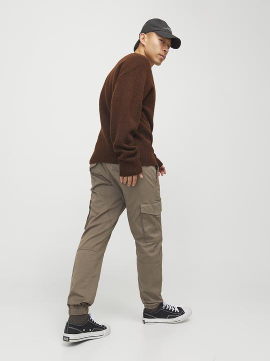 Image du produit Jack & Jones Jpstpaul Jjflake Cargo Noos (W32/L32)