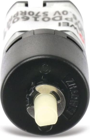 Actual product image Zhaowei DC geared motor ZWPD016016-36-P, 6 V-, 233 rpm