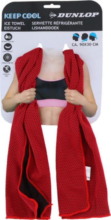 Productafbeelding Dunlop IJshanddoek 3as (Reis- en functionele handdoek)