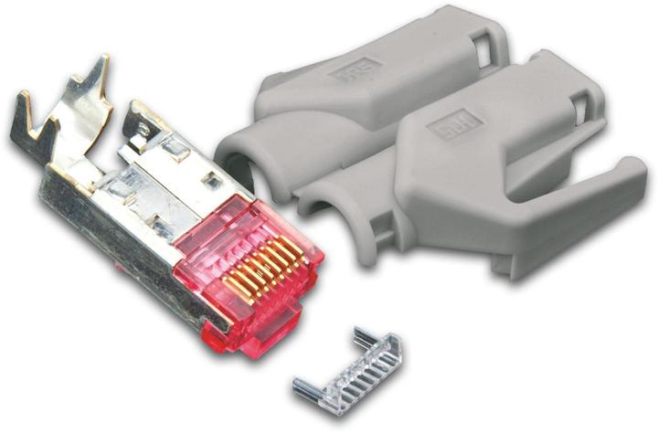 Wirewin Plug RJ45 Hirose TM21 50 pieces, grey (Network cable plug)