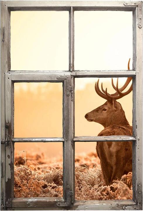 Produktbild Trenddeko 3D Fenster Shabby - Majestätischer Hirsch (120 x 81 cm)