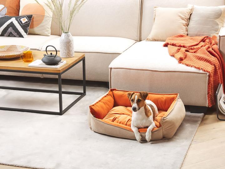 Image du produit Beliani Izmir (Chien, Chat)