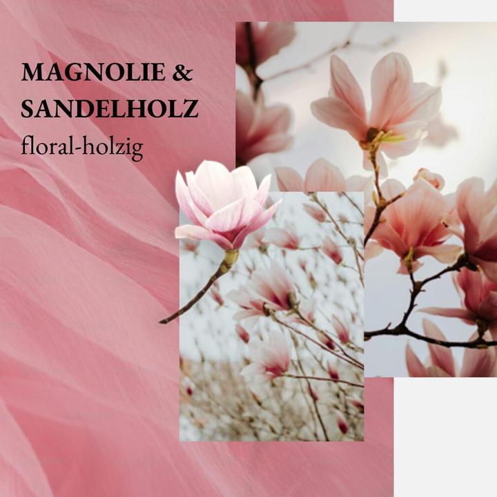 Image du produit we:care2 Nachfüllbeutel Handseife (Savon liquide, Recharges, 500 ml)