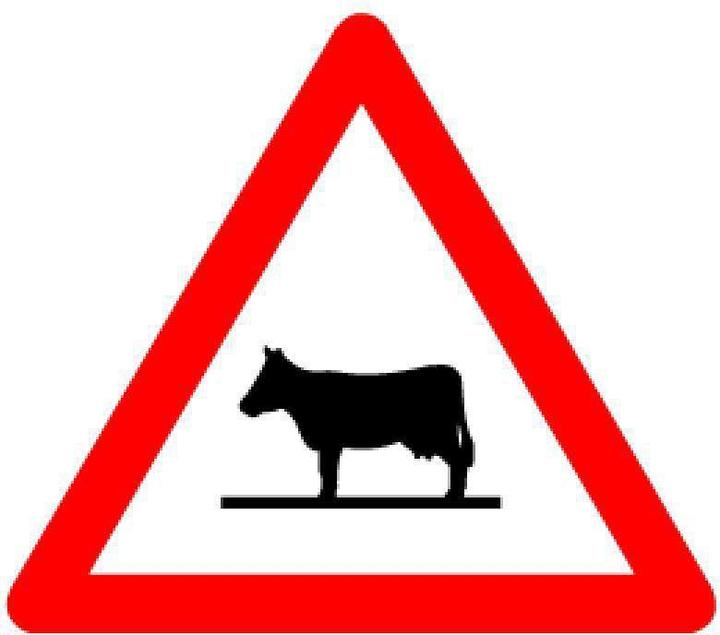 Produktbild BRW Signaltafel Tiere Kuh 1.25