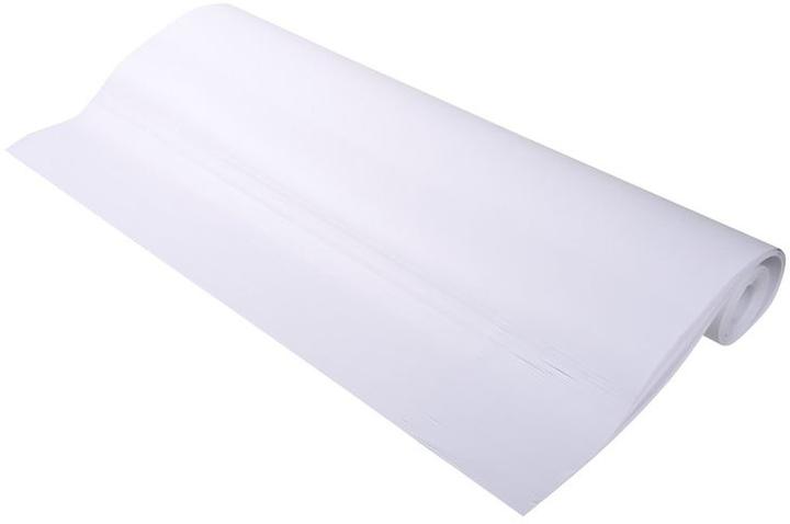 Exacompta Nachfüllbogen für Flipcharts (63 x 98 cm)