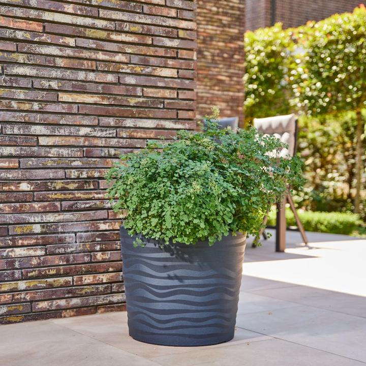 Actual product image Siena Garden Madrid (50 cm)