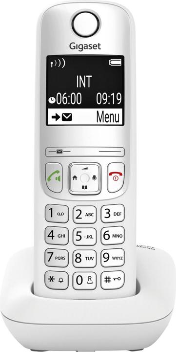 Actual product image Gigaset AE690 Analogue/DECT telephone