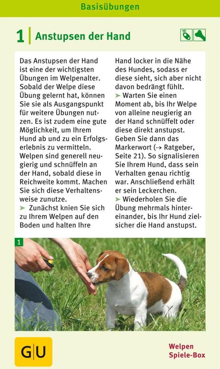 Produktbild Welpen Spiele-Box (Deutsch)