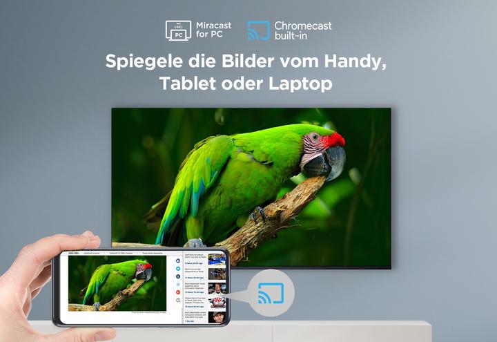 Actual product image TCL 55P655 (55", LCD, 4K, 2024)
