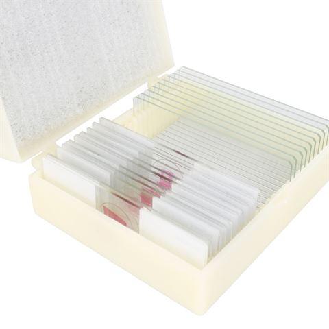 Actual product image Konus Preparate Set Botany 1 (15 pcs.)