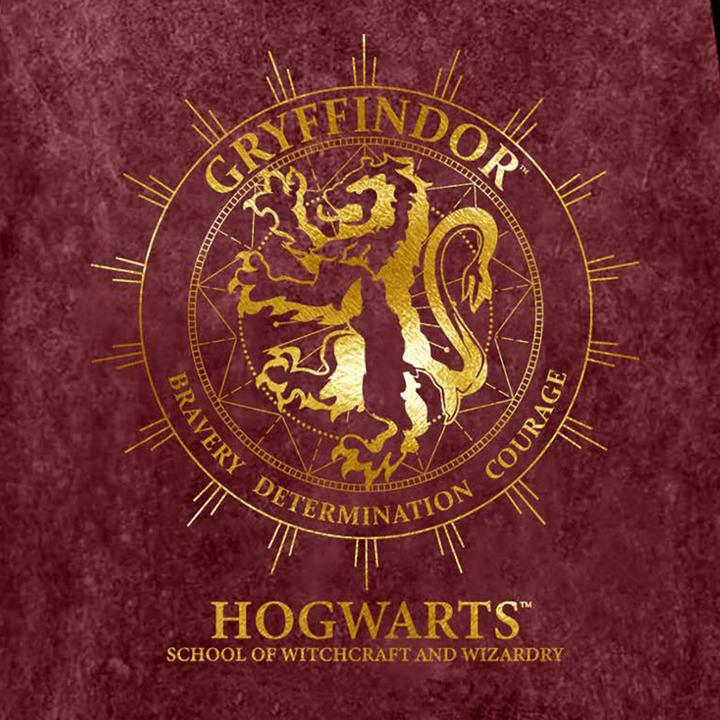 Immagine prodotto Tshirt Gryffindor Constellation (S)