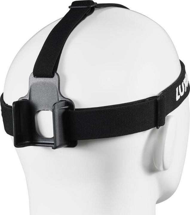 Actual product image Lupine Headband
