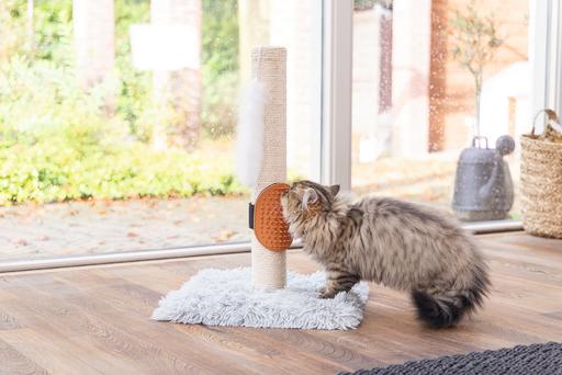 Image du produit Beeztees Pflegehandschuh (Chat)