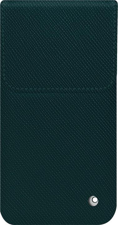 Vert séduisant ( Pantone #1d3c34 )