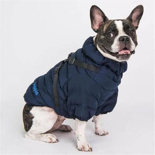 Image du produit Puppia Cavalier souple (XL, Manteau pour chien)