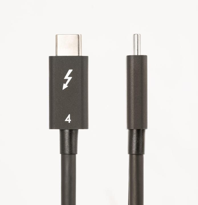 Produktbild StarTech 1.6FT (50CM) THUNDERBOLT CABLE (0.50 m, USB 4.0)