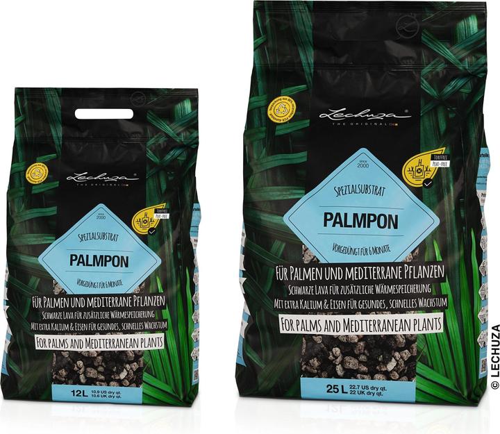 Actual product image Lechuza Palmpon. (12 l)