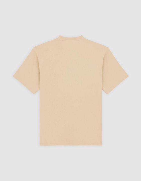 Actual product image Dickies Clancy Heavyweight Tee Ss Irish Cream (L)