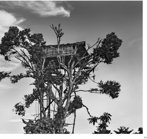 Image du produit Sebastião Salgado. Genesis (Allemand, Lélia Wanick Salgado, 2013)
